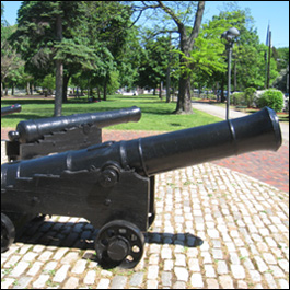 Cannon