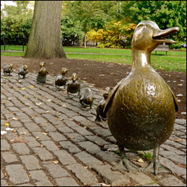 Bronze Ducks Family